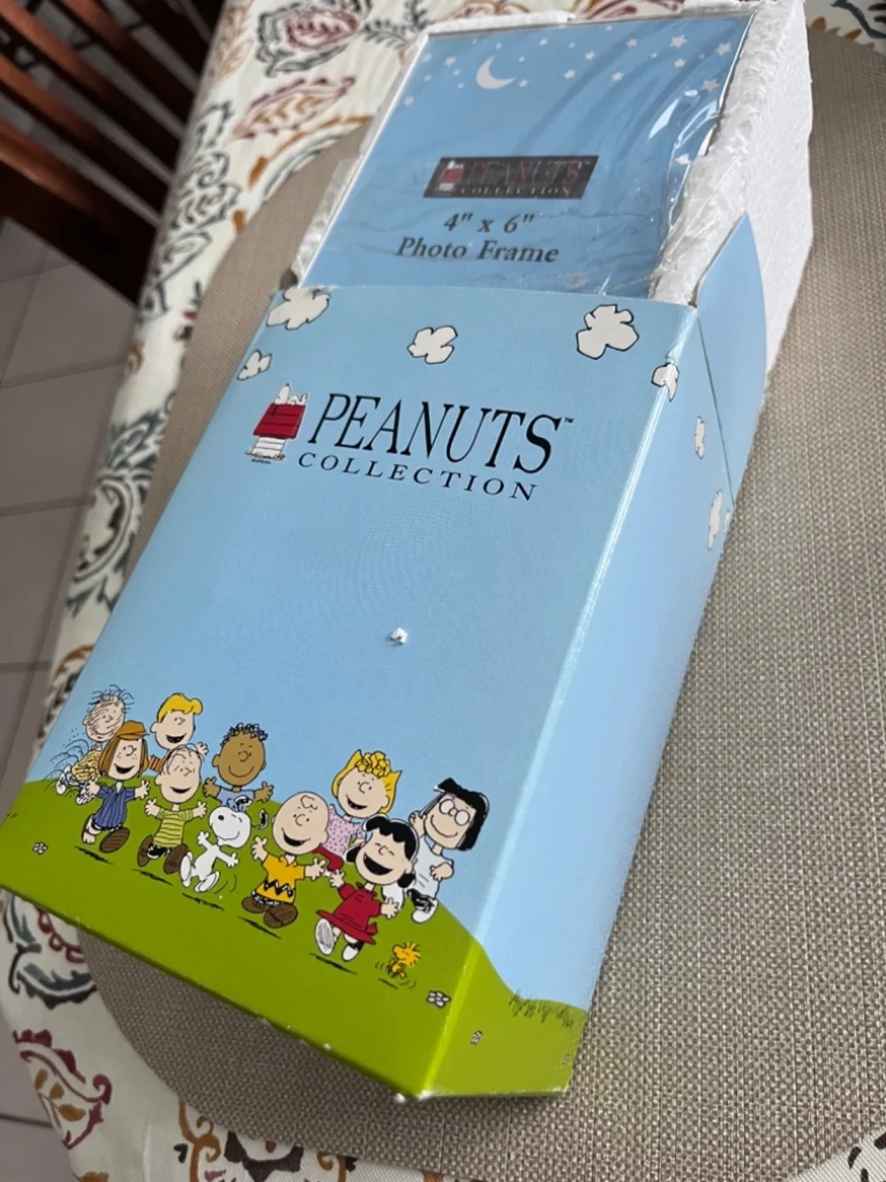 Peanuts Collections Snoopy & Charlie Brown 3D 4x6 Photo Frame
